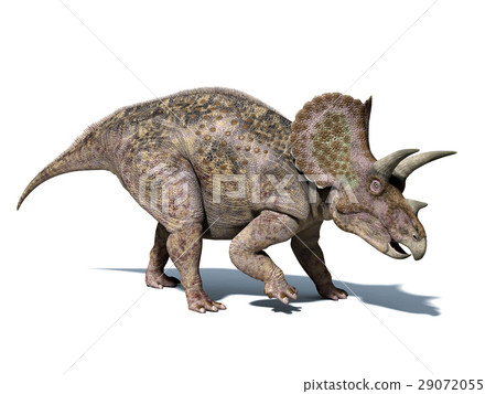 Triceratops dinosaur, isolated on white background, with clipping path.. 29072055
