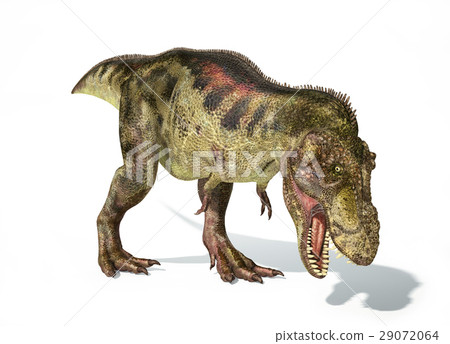 Tyrannosaurus Rex Dinosaur, Photorealistic... - Stock Illustration ...