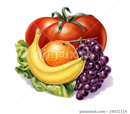 group of fruits and vegetables. group of fruits and vegetables. 29072114
