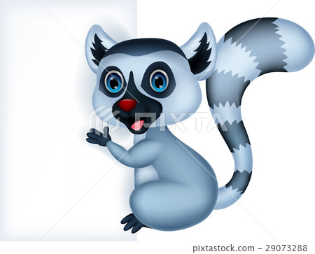 Cute lemur holding blank sign 29073288