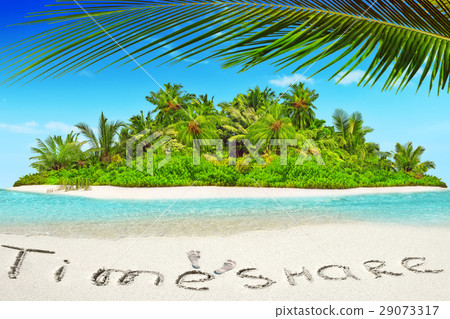 Whole tropical island within atoll in  Ocean.  29073317