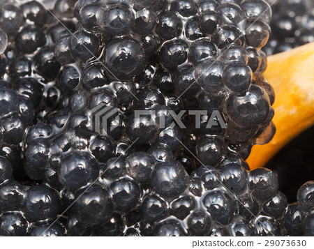 black caviar of halibut fish with spoon close up black caviar of halibut fish with spoon close up 29073630