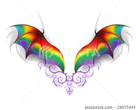 Wings of rainbow dragon 29075445