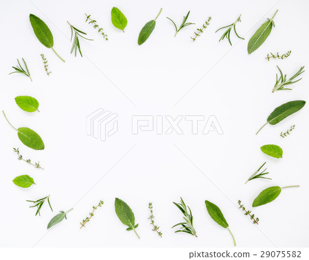 Various fresh herbs from the garden. Various fresh herbs from the garden. 29075582