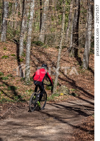 Biker in the forest Biker in the forest 29075857