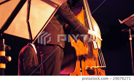 Double bass player on the stage Double bass player on the stage 29076271