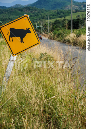 beware animal Traffic signs beware animal Traffic signs 29076828
