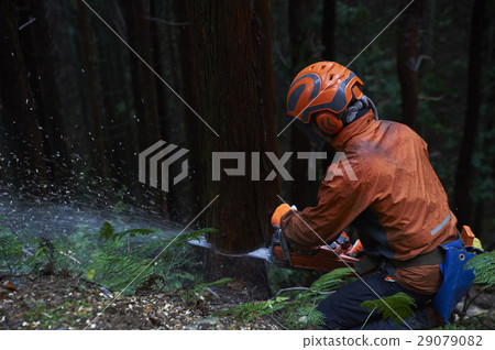 林業人 林業人 29079082