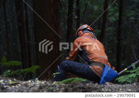 林業人 林業人 29079091