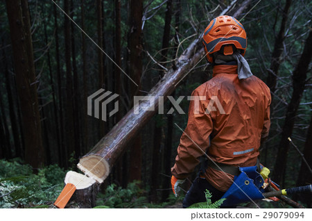 Men of forestry 29079094