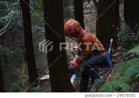 林業人 29079101