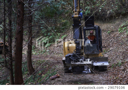 Men of forestry 29079106