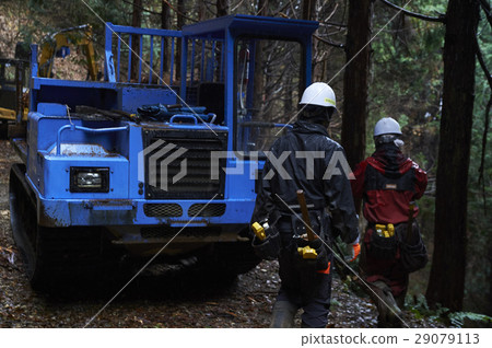 Forestry Forestry 29079113