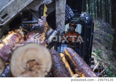 Men of forestry Men of forestry 29079120