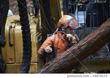 Men of forestry Men of forestry 29079123