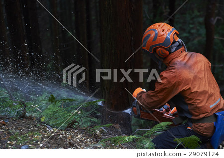 Men of forestry Men of forestry 29079124