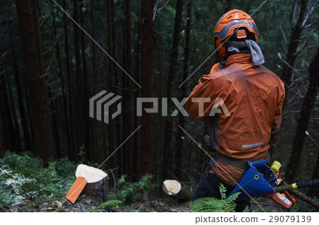 Men of forestry Men of forestry 29079139