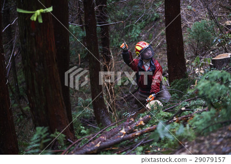 Men of forestry Men of forestry 29079157