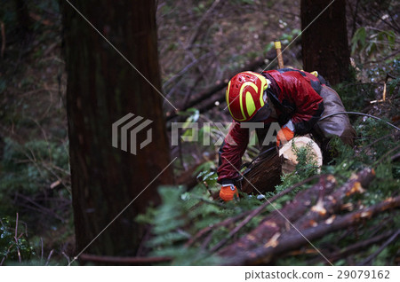 Men of forestry 29079162