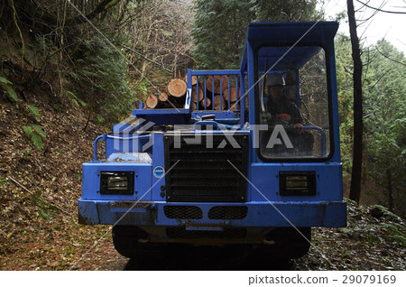 Forestry 29079169