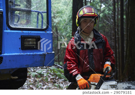 林業人 29079181