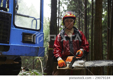 Men of forestry 29079184