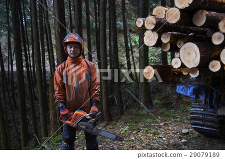 Men of forestry Men of forestry 29079189