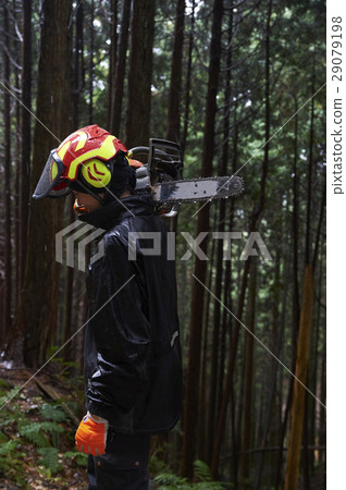 Men of forestry 29079198