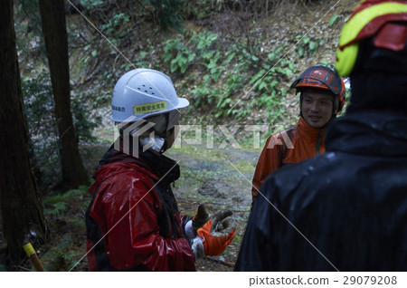 Men of forestry 29079208