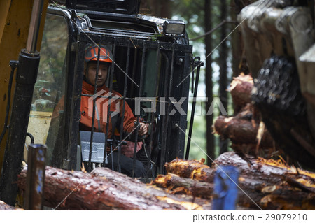 Men of forestry 29079210