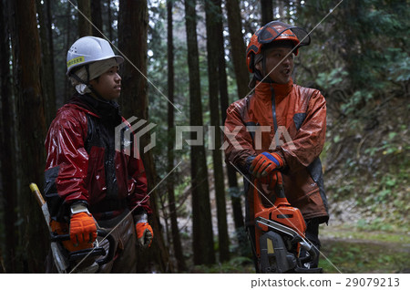 Men of forestry 29079213