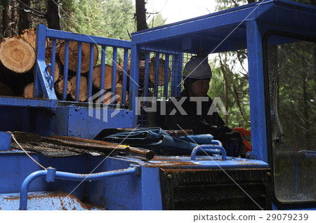 Men of forestry 29079239