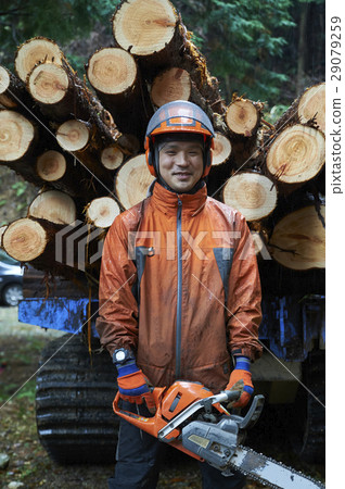 Men of forestry 29079259