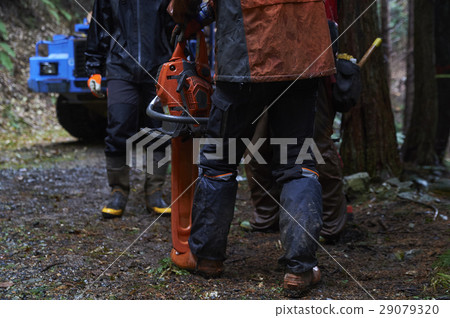 Male tamper in forestry 29079320