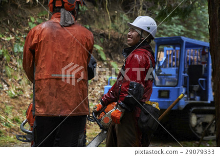 Men of forestry 29079333