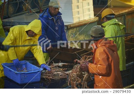 漁夫在午夜工作 29079430