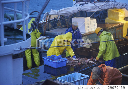 Fisherman working at midnight Fisherman working at midnight 29079439