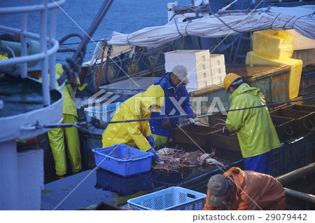 Fisherman working at midnight Fisherman working at midnight 29079442