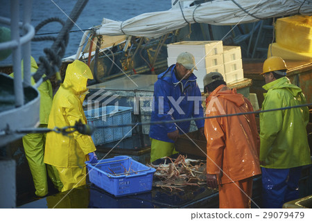 Fisherman working at midnight 29079479