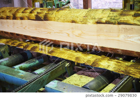 伐木場 伐木場 29079830