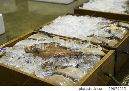 捕魚業 捕魚業 29079915