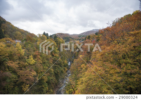 秋天的上帝在秋天 29080324