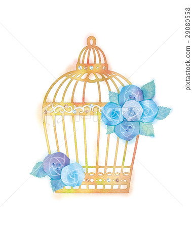Illustrations of roses and bird cages 29080558