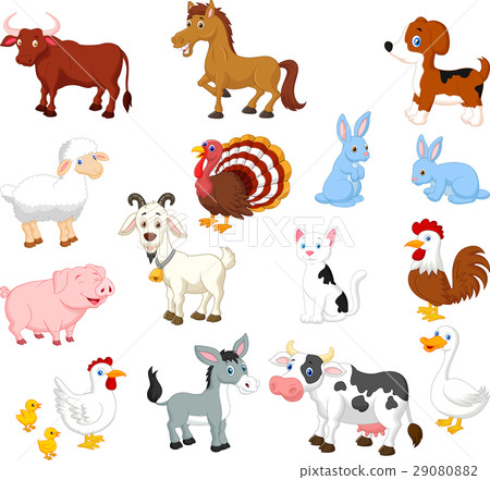 Farm animal collection set