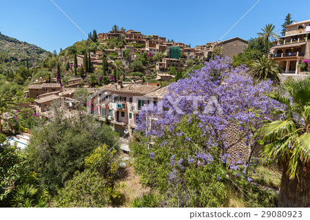 Tramuntana mountain, Village in Mallorca 29080923