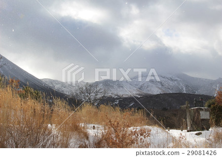 Kuju山雪風景 Kuju山雪風景 29081426