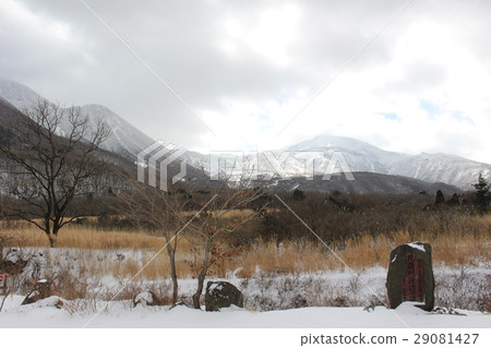 Kuju山雪風景 Kuju山雪風景 29081427