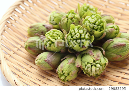 Fukinoenna Fukinoenna 29082295