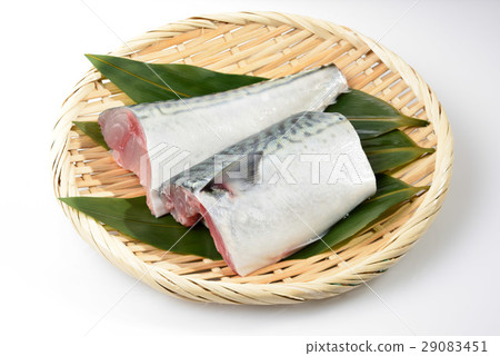 真正的鯖魚 29083451