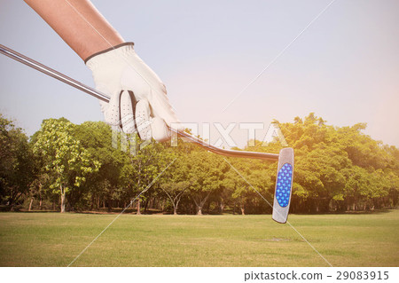 Golf handle on grass. Golf handle on grass. 29083915